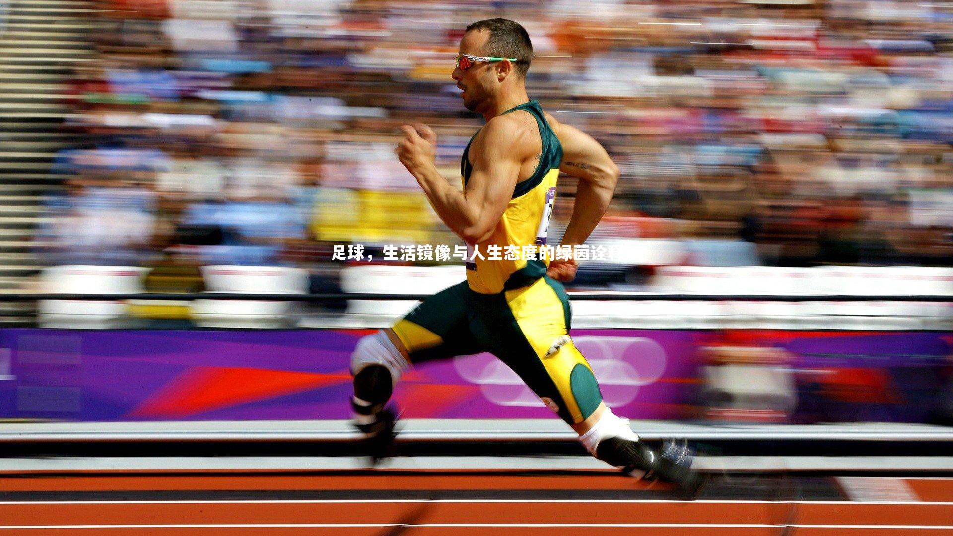 足球，生活镜像与人生态度的绿茵诠释